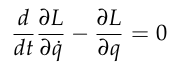 Euler Lagrange Equations for basic motion.